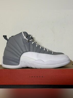 Nike Air Jordan 12 Retro Stealth Sneakers CT8013 015 Men's Size 11 Worn 1x